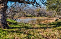 Tbd Reevs Road, Graham, TX 76450