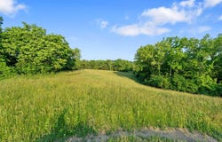 1649a Mudlick Road, Cynthiana, KY 41031