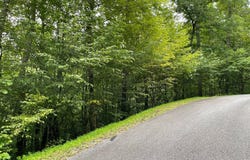 Bear Trail lot: 7, Hiawassee, GA 30546