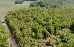 Lesane Road, Tar Heel, NC 28392
