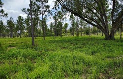 Pansey, AL 36370