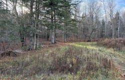 Map11 Lot1 High Street, Westfield, ME 04730