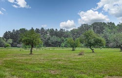 19839 Witt Road, Three Oaks, MI 49128