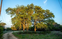 225 Lost Man Rd, Mountain Home, TX 78058