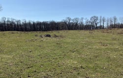 VL Wellman Rd, Parma, MI 49269