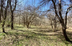 0 East Handsome Brook Rd., Franklin, NY 13775
