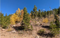 Bear Gulch Rd, Red Feather Lakes, CO 80545