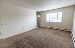 486 Tracy Drive, Clifton, CO 81520