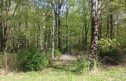 719 Toll Road, Effort, PA 18330