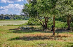TBD Bauer Road, Fayetteville, TX 78940