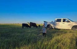 4321 County Road 220, Gatesville, TX 76528