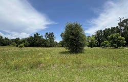 214 SW Hickory Hill Way, Greenville, FL 32331