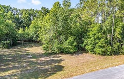 0 NW 173RD STREET, TRENTON, FL 32693