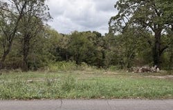 216 W South Street, Neosho, MO 64850