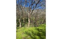 Lots 638. 639. 640 Kaukonahua LN, Bastrop, TX 78602