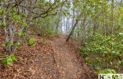 Cullowhee Forest Road lot: 55, Cullowhee, NC 28723
