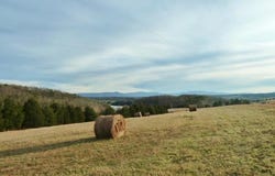 ASCALON DRIVE, MIDDLETOWN, VA 22645