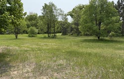 6187 N Oak Avenue, White Cloud, MI 49349