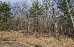 Lot 20.22 Woods Road, Barryville, NY 12719