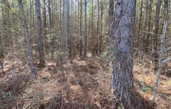 Highway 61, Columbiana, AL 35051