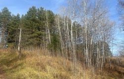 Wick Road, Saginaw, MN 55779