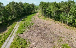 0 Luther Brown Road, Colerain, NC 27924