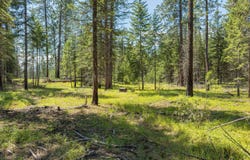 631 Wolverine Rd, Moyie Springs, ID 83845
