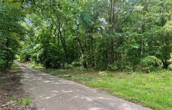 0 County Road 3203, Daingerfield, TX 75638
