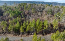 20  Red Bird Ridge, Smithville, OK 74957