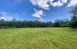 1069 N Salt Road, Monticello, FL 32344