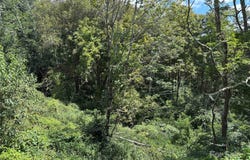 Linhigh Drive, Newland, NC 28657
