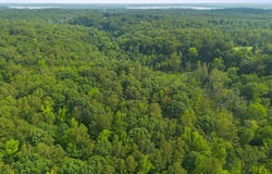 Lot 2 SALEM CHURCH ROAD, KING GEORGE, VA 22485