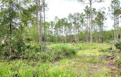 5814 MAHOGANY Boulevard, BUNNELL, FL 32110