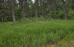 10 Acres 25th Street, Necedah, WI 54646