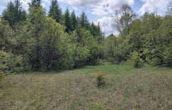 TBD Dunham, Marenisco, MI 49947