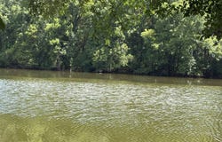 0 L D Knox Rd., Gilbert, LA 71336