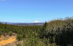 0 Conyers Creek, Clatskanie, OR 97016