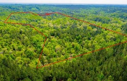 10381 Indian Mound Rd, Ware Shoals, SC 29692