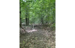 9999 Lela Lane, Monticello, KY 42633