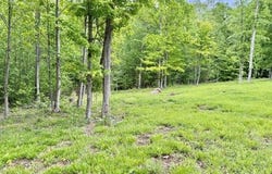 1264 Math Minton Road, Mammoth Cave, KY 42259