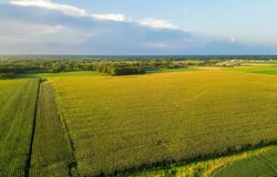 000 N 525th Rd-51.91-acers, Colchester, IL 62367