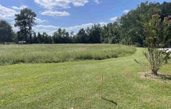 Suggs St., Loris, SC 29569