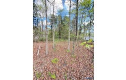 Cedar Grove Road, Lawrenceville, VA 23868
