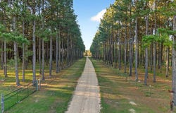 95 Gravel Pit Rd, Sandy Hook, MS 39478