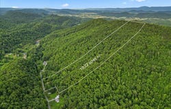 149 Sulphur Springs Road, Rogersville, TN 37857