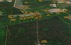 0 Maple Branch Road, Reevesville, SC 29471