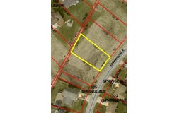 Springdale Avenue, Wintersville, OH 43953