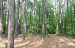 165 Rosewood Road, Springhill, LA 71075