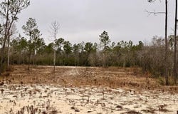 E Creekview Dr, Wewahitchka, FL 32465