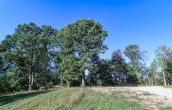 Tract 5 Happy Hollow Rd, Waverly, WV 26184